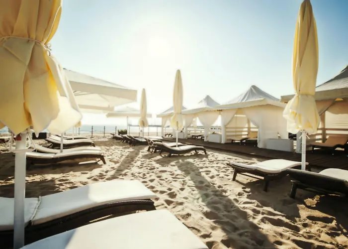 酒店 索波特索菲特大酒店